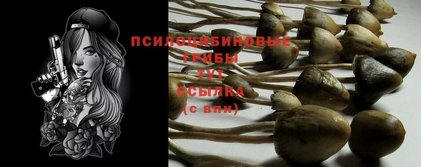 шишки Беломорск