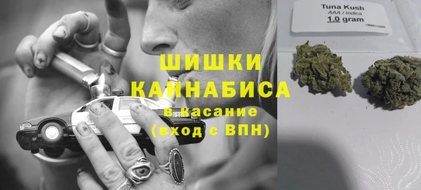 шишки Беломорск