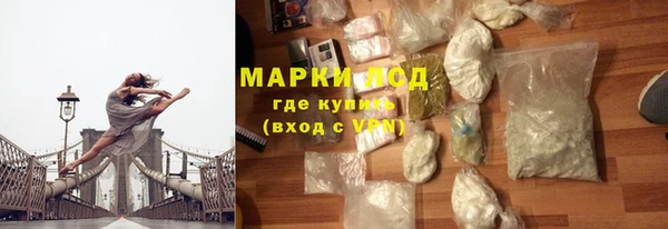 шишки Беломорск