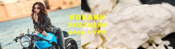 шишки Беломорск