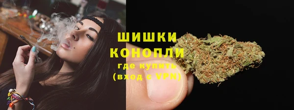 соль ск Белокуриха