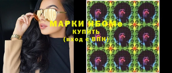 шишки Беломорск