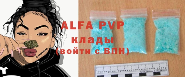 прущие грибы Сатка