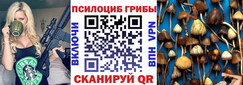 ОМГ ОМГ ТОР  Называевск  Галлюциногенные грибы Psilocybine cubensis 
